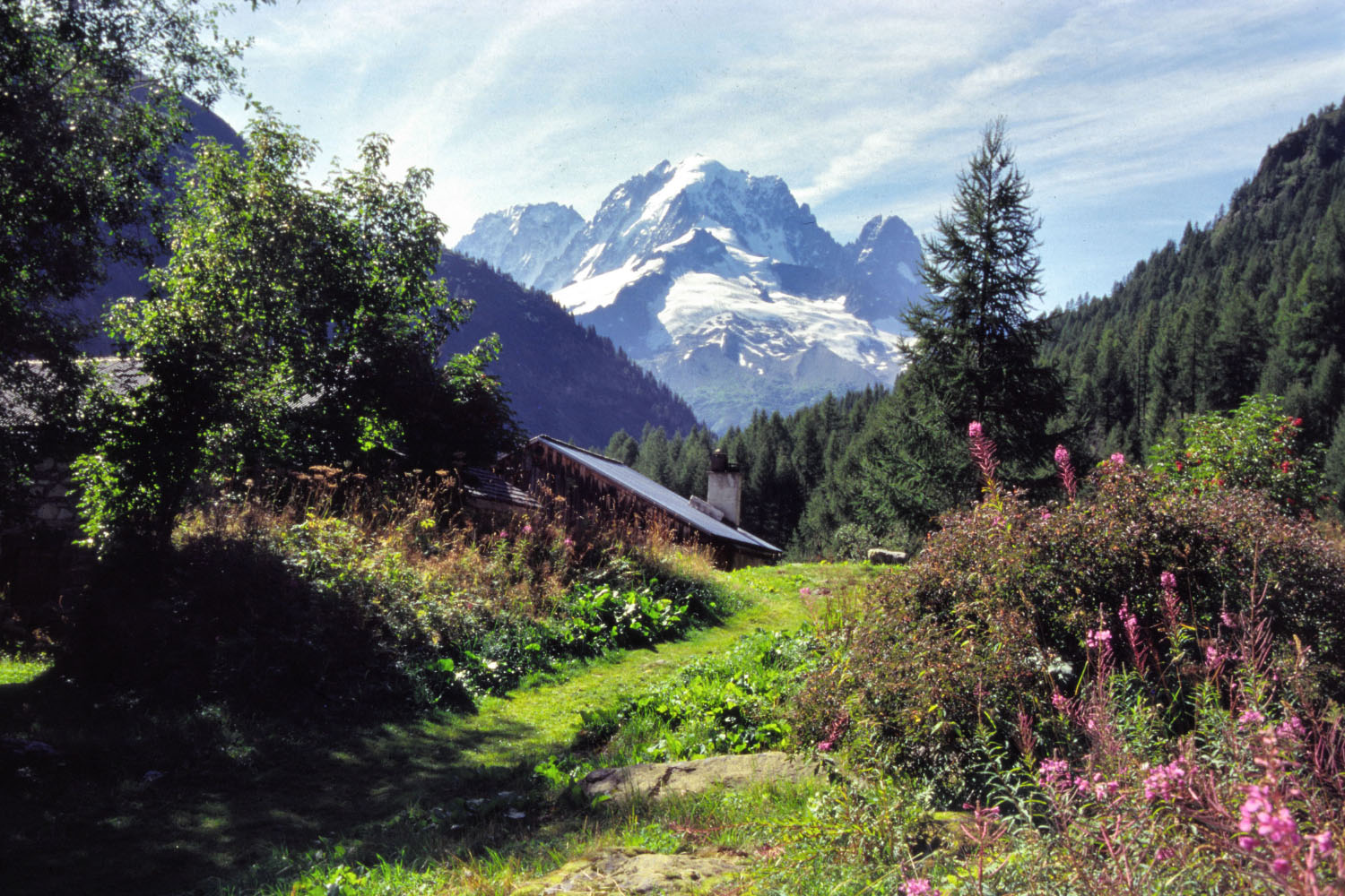 Wallpapers Nature Mountains Chamonix