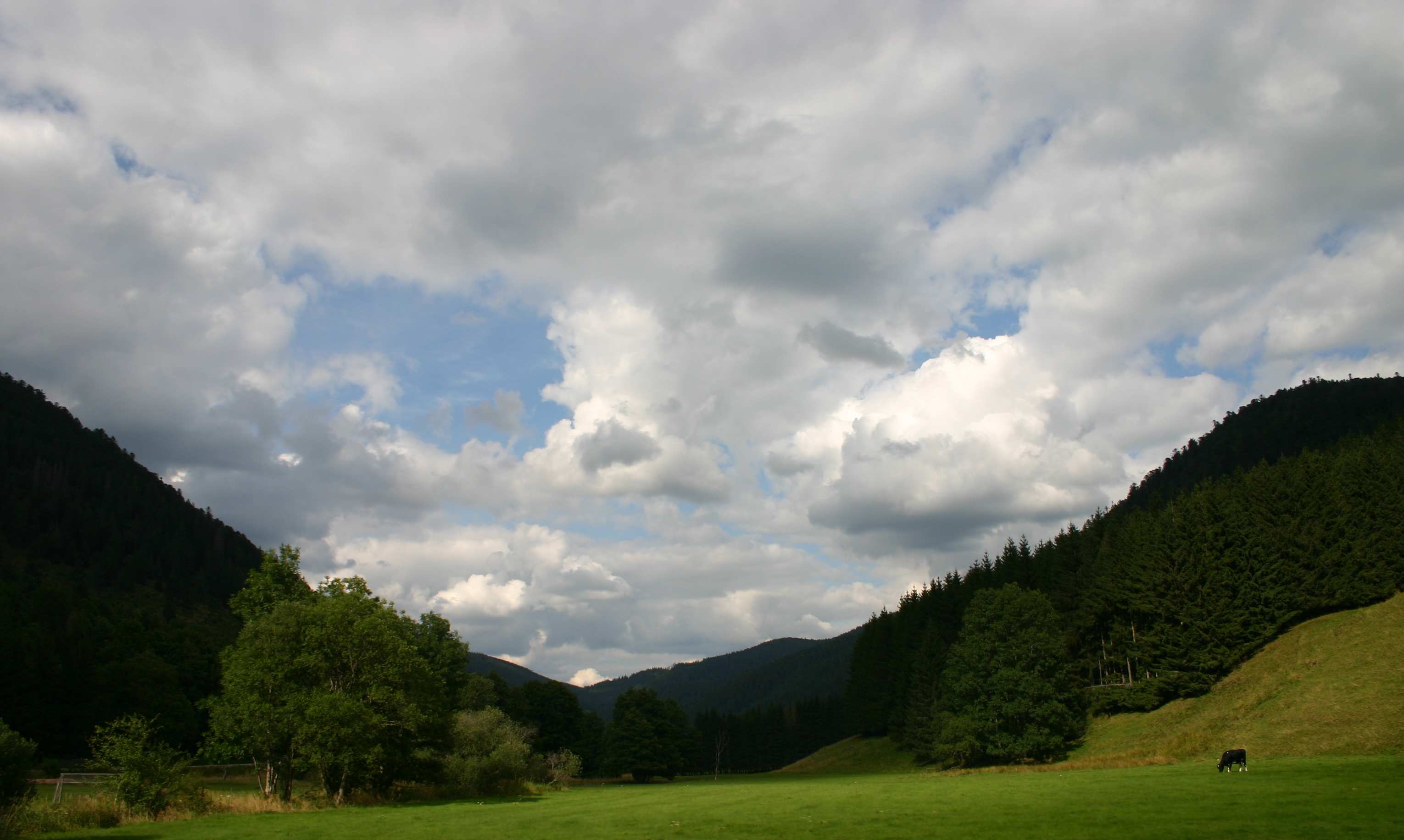 Wallpapers Nature Mountains Montagnes dans les Vosges