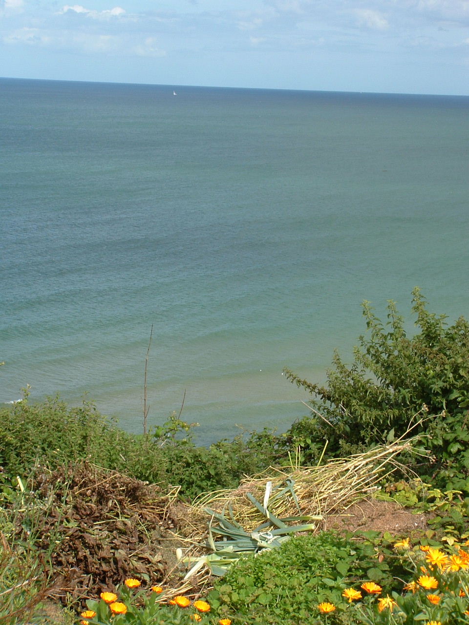 Fonds d'cran Voyages : Europe France > Normandie Vue d'une falaise  Vierville/Mer