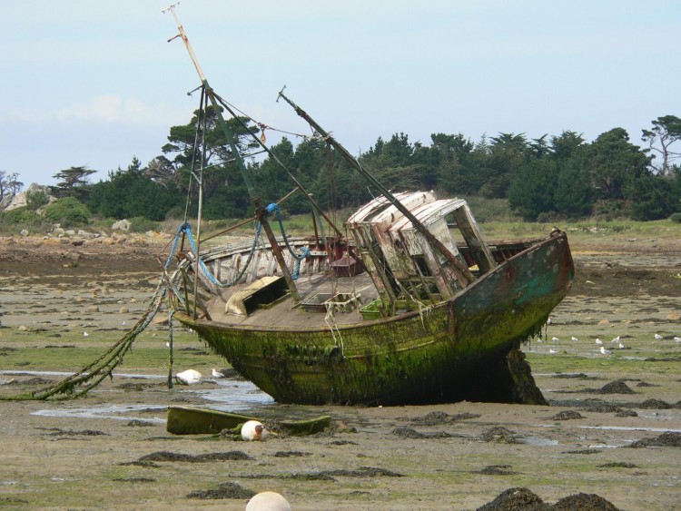 Fonds d'cran Voyages : Europe France > Bretagne Epave