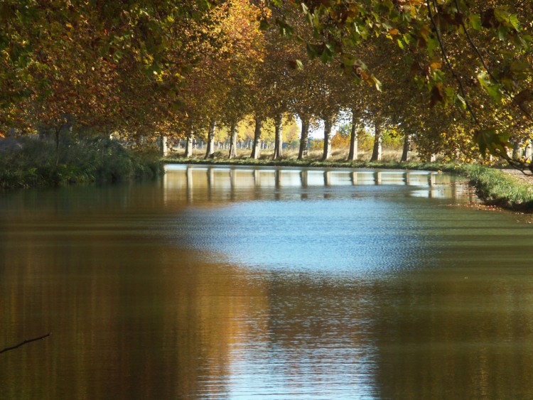 Fonds d'cran Nature Saisons - Automne Languedoc/Roussillon