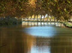 Fonds d'cran Nature Languedoc/Roussillon