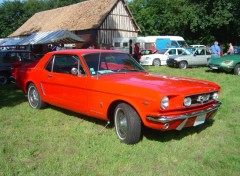 Fonds d'cran Voitures Mustang