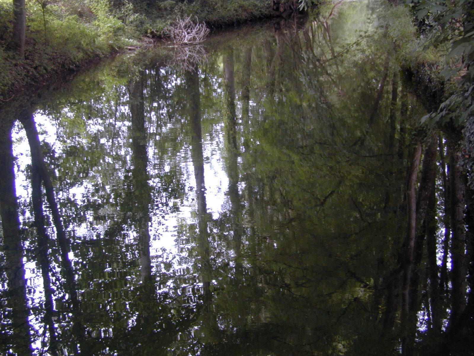 Fonds d'cran Nature Eau - Reflets Reflets du Fusain