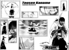 Wallpapers Manga Ruthay Bleach Tousen Kaname 01