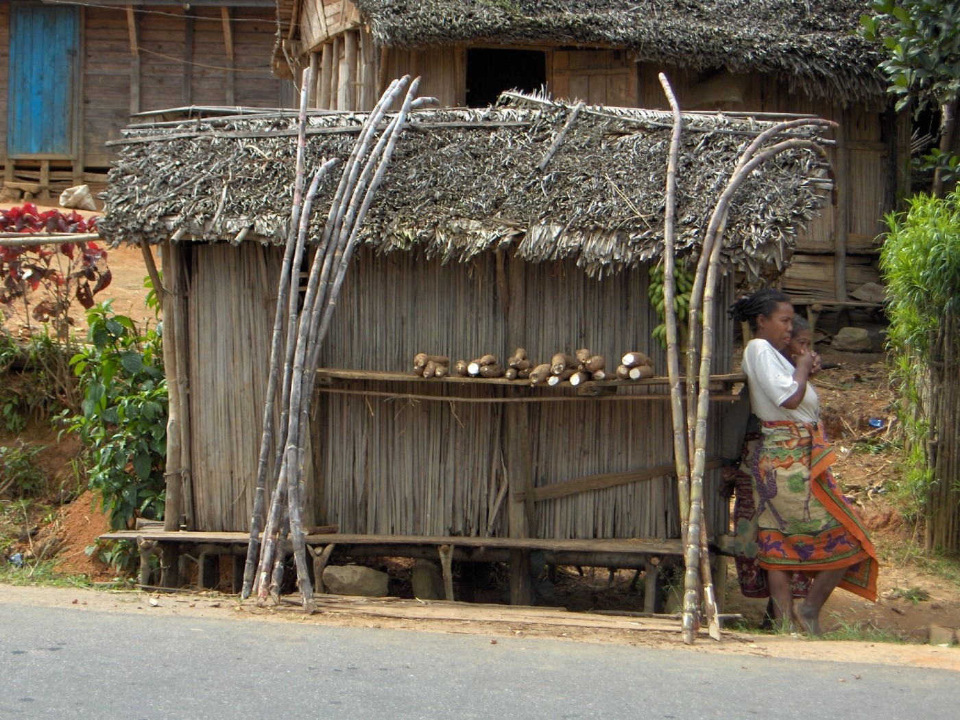 Wallpapers Trips : Africa Madagascar Sur la route des Pangalanes