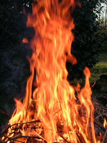 Fonds d'cran Nature Feux Dmence du feu...