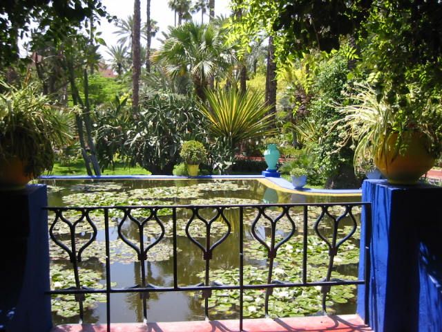 Fonds d'cran Nature Parcs - Jardins Bassin aux nnuphars  Majorelle.