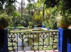 Fonds d'cran Nature Bassin aux nnuphars  Majorelle.