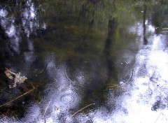 Fonds d'cran Nature Reflets