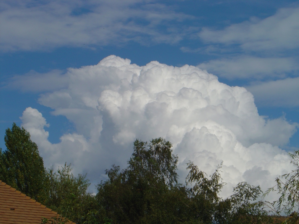 Wallpapers Nature Skies - Clouds On dirait du coton.