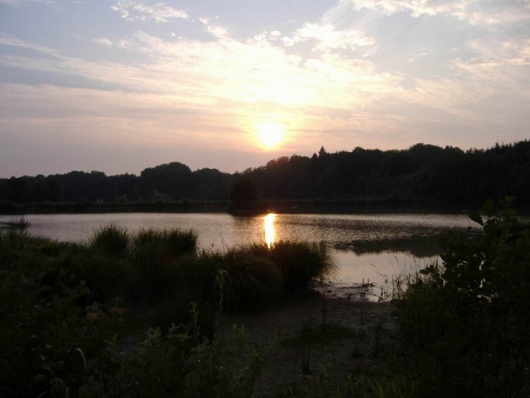 Fonds d'cran Nature Couchers et levers de Soleil Coucher de soleil  Eloie (Territoire de Belfort 90)