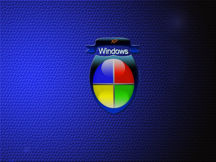 Fonds d'cran Informatique Windows XP windows blue lzard