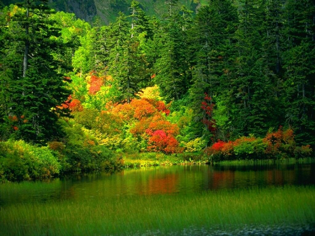 Wallpapers Nature Seasons - Fall 