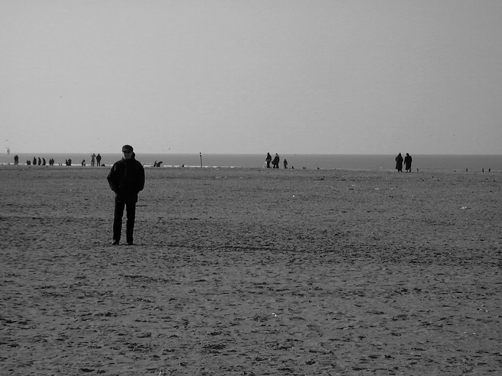 Fonds d'cran Nature Mers - Ocans - Plages Sable Gris