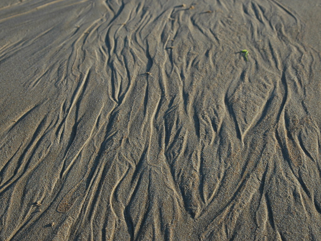 Fonds d'cran Nature Mers - Ocans - Plages coiffure dans le vent 2