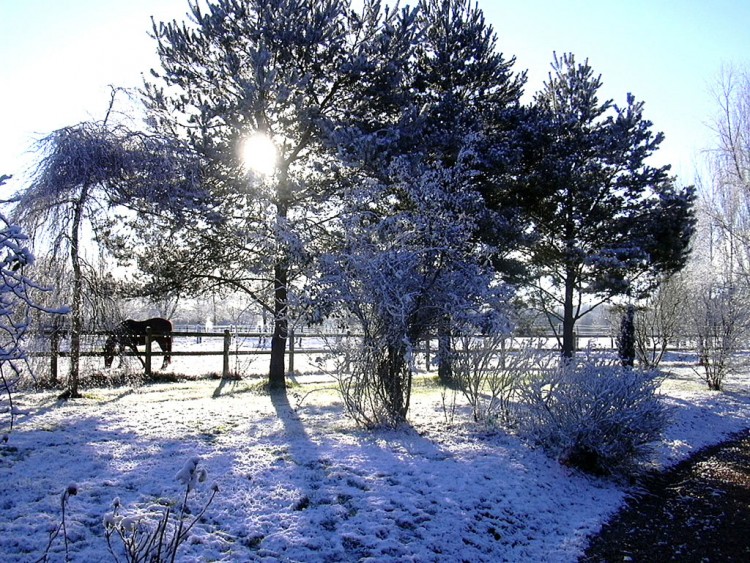 Fonds d'cran Nature Saisons - Hiver Perce solaire