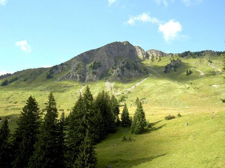 Fonds d'cran Voyages : Europe Suisse Alpage prs du lac Retaud