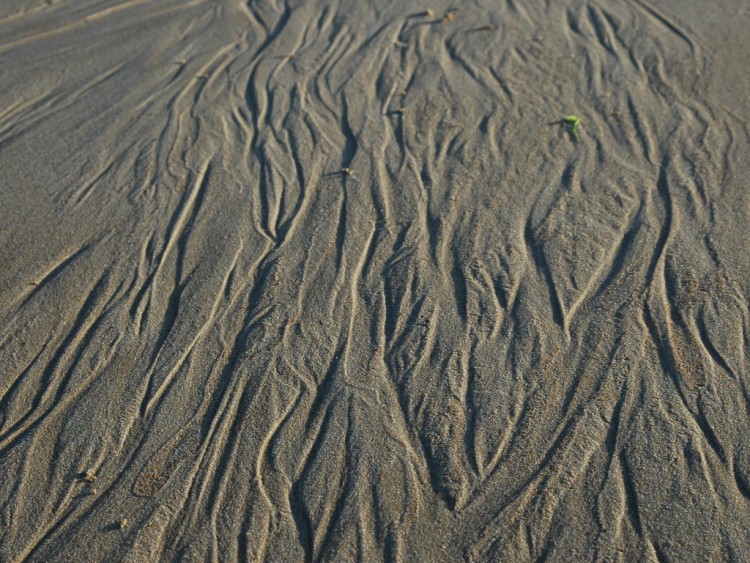 Fonds d'cran Nature Mers - Ocans - Plages coiffure dans le vent 2