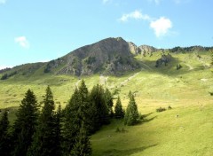 Fonds d'cran Voyages : Europe Alpage prs du lac Retaud