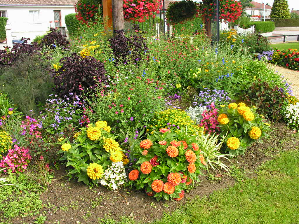 Fonds d'cran Nature Fleurs 