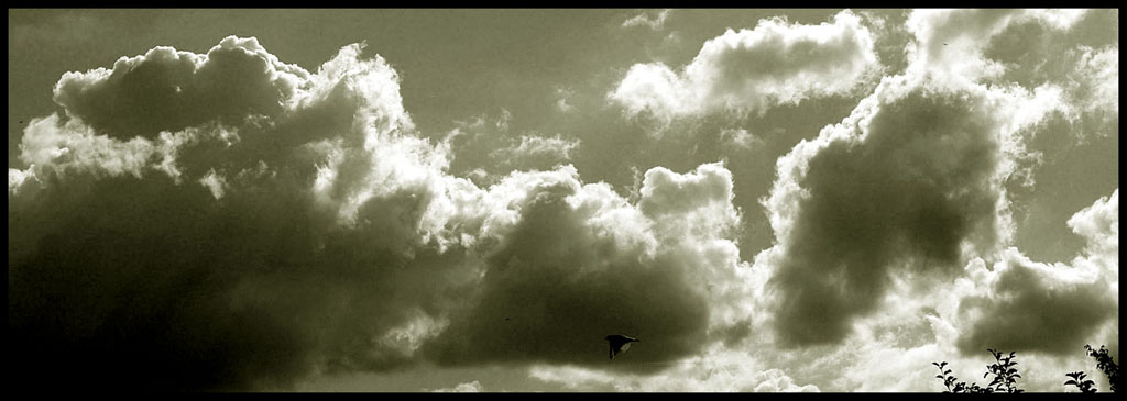 Fonds d'cran Nature Ciel - Nuages Invit surprise