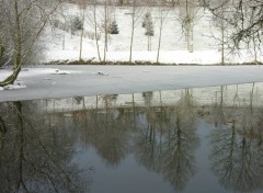 Fonds d'cran Nature Reflets