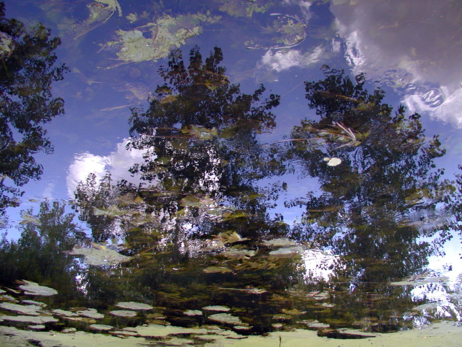 Wallpapers Nature Water - Reflection Reflets