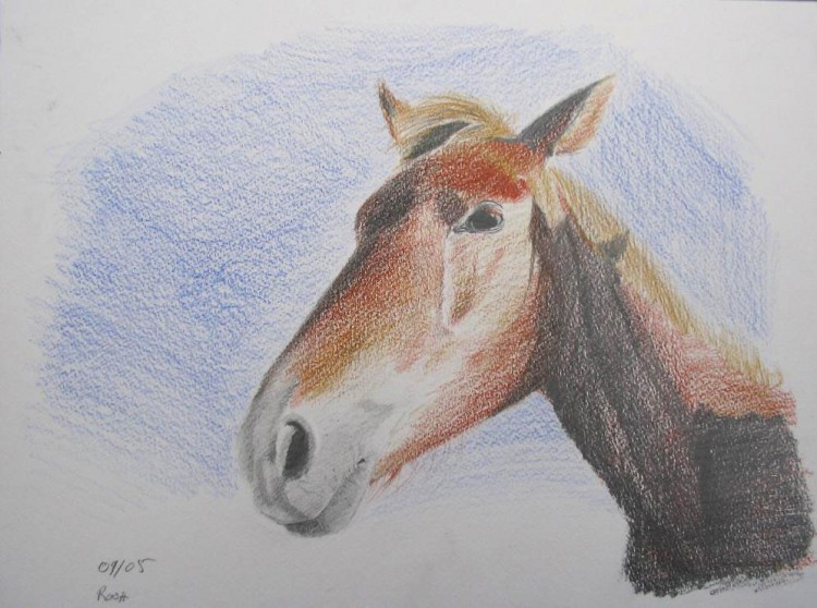 Fonds d'cran Art - Crayon Animaux - Chevaux Dessin demand