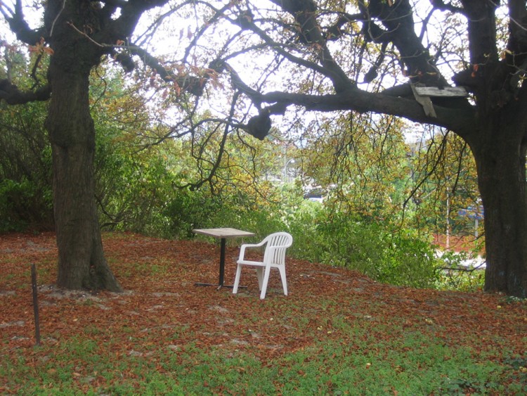 Fonds d'cran Nature Parcs - Jardins Ce soir, je dne seule!!