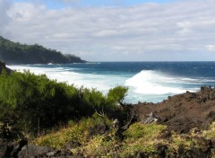 Fonds d'cran Nature vincendo