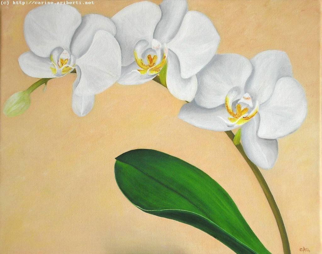 Wallpapers Art - Painting Flowers Orchides