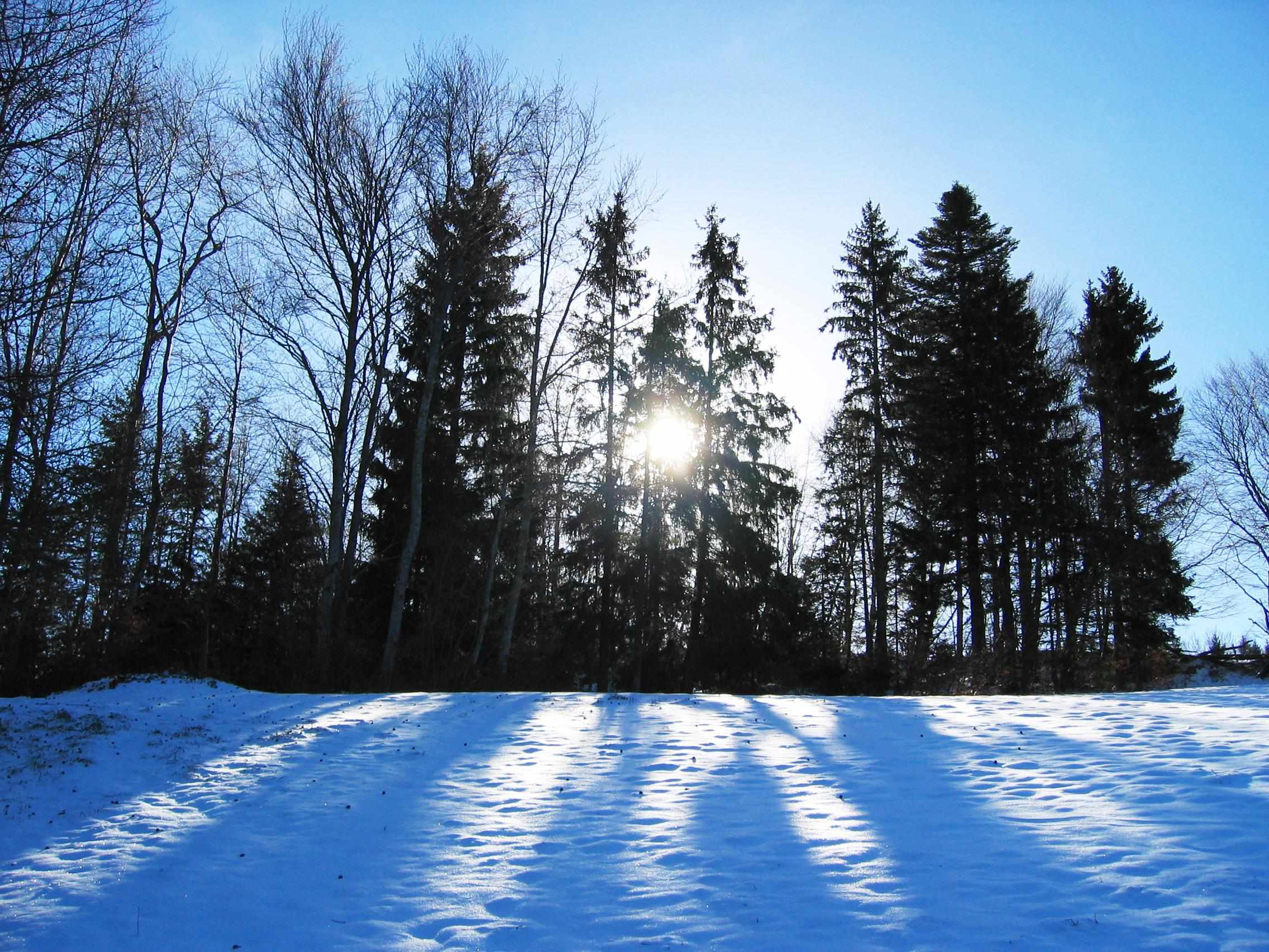 Fonds d'cran Nature Saisons - Hiver Hiver Ensoleill