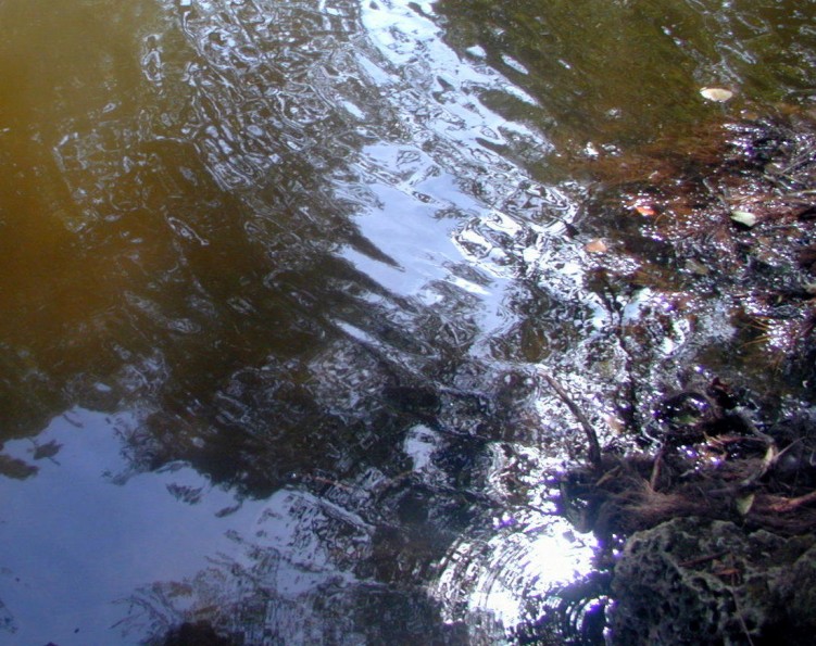 Wallpapers Nature Water - Reflection Reflets