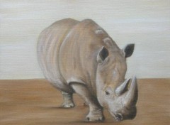 Wallpapers Art - Painting Rhinocros