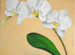 Fonds d'cran Art - Peinture Orchides