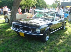 Wallpapers Cars Mustang