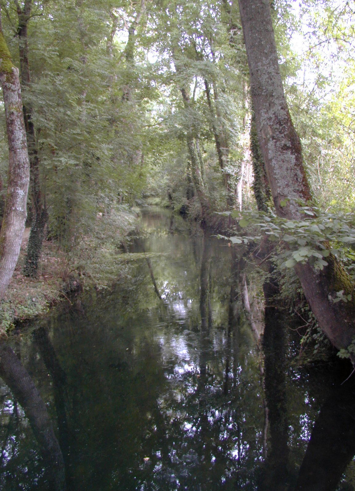 Wallpapers Nature Water - Reflection Reflets