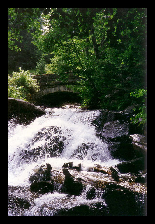 Fonds d'cran Nature Fleuves - Rivires - Torrents En allant au Pont d'Espagne