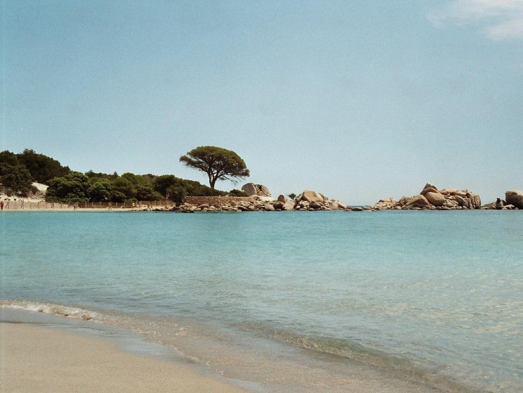 Fonds d'cran Nature Mers - Ocans - Plages CORSE DU SUD