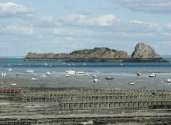 Fonds d'cran Nature Cancale