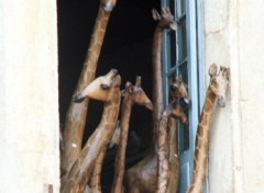 Fonds d'cran Objets girafes