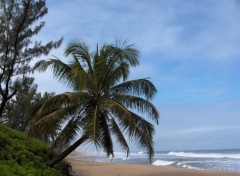 Fonds d'cran Voyages : Afrique Canal des Pangalanes, la plage sur l'ocan indien