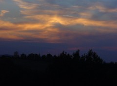 Fonds d'cran Nature coucher du roi