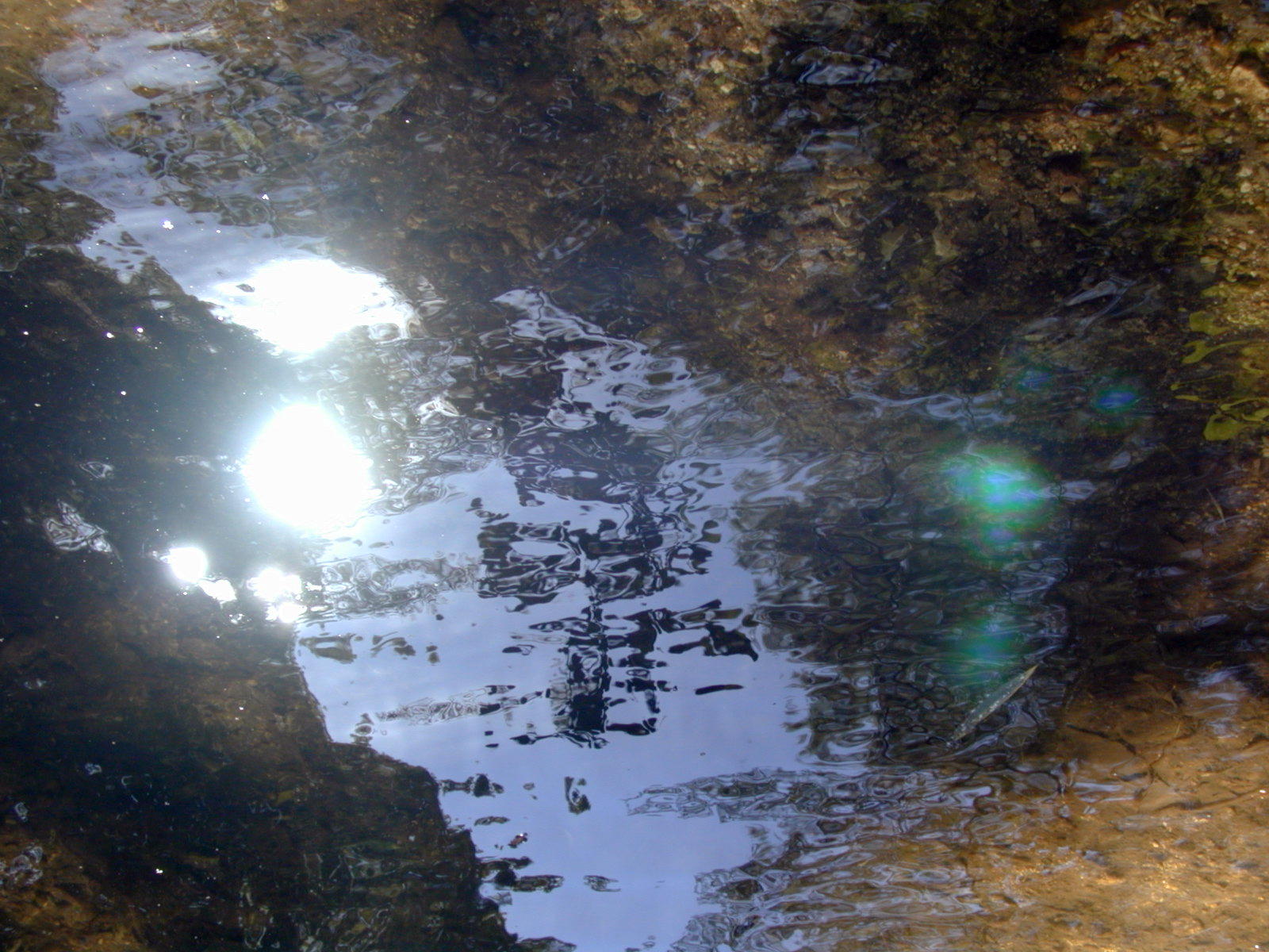 Wallpapers Nature Water - Reflection Reflets