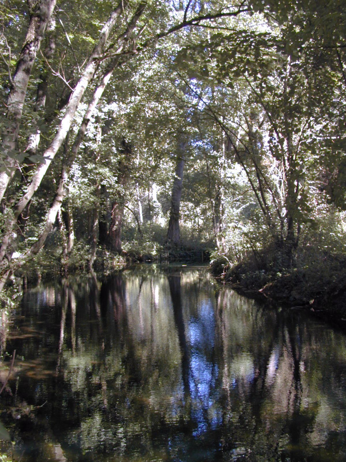 Wallpapers Nature Water - Reflection Reflets du Fusain