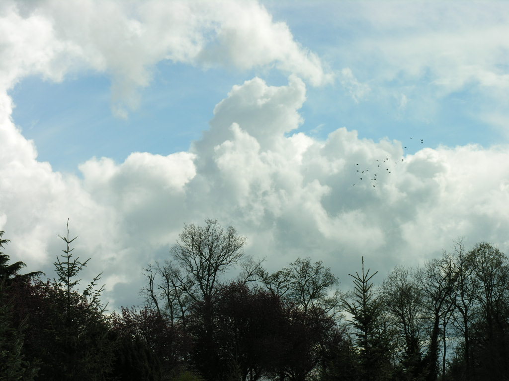 Fonds d'cran Nature Ciel - Nuages 