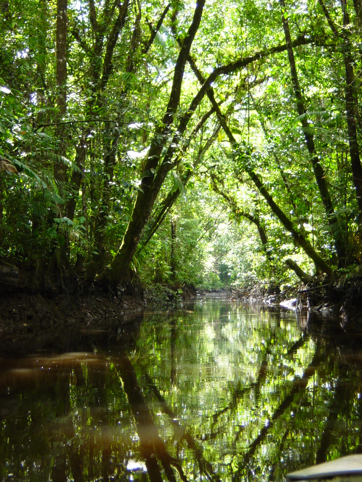 Wallpapers Nature Rivers - Torrents 