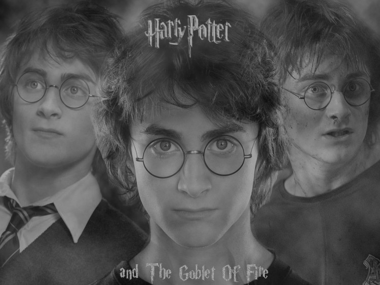 Wallpapers Movies Harry Potter and the Goblet of Fire harry