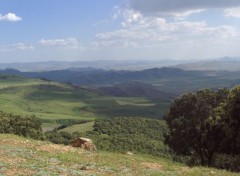 Fonds d'cran Voyages : Afrique Vue sur le Moyen-Atlas